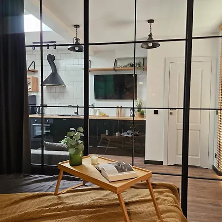 Luxury Bright Great Location Sauna Apartment Krakow